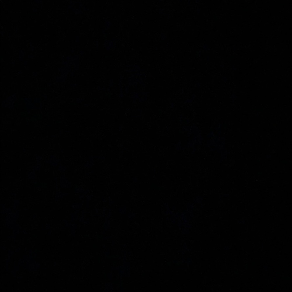 Meet your Posher, Bella